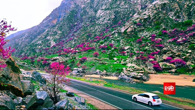 Baharak District of Badakhshan Province.☝
#GreenAfghanistan