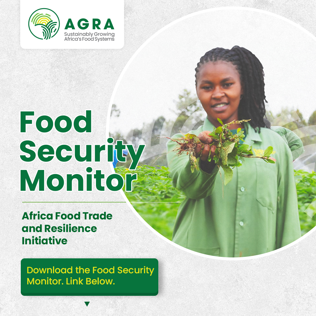 Food Security Monitor | #FoodSystems Highlights from the Food Security Monitor March 2024 1. Despite challenges like El Niño-driven drought and food shortages Africa shows resilience in improving its food security. 2. Africa's grain market sees positive trends with a potential…