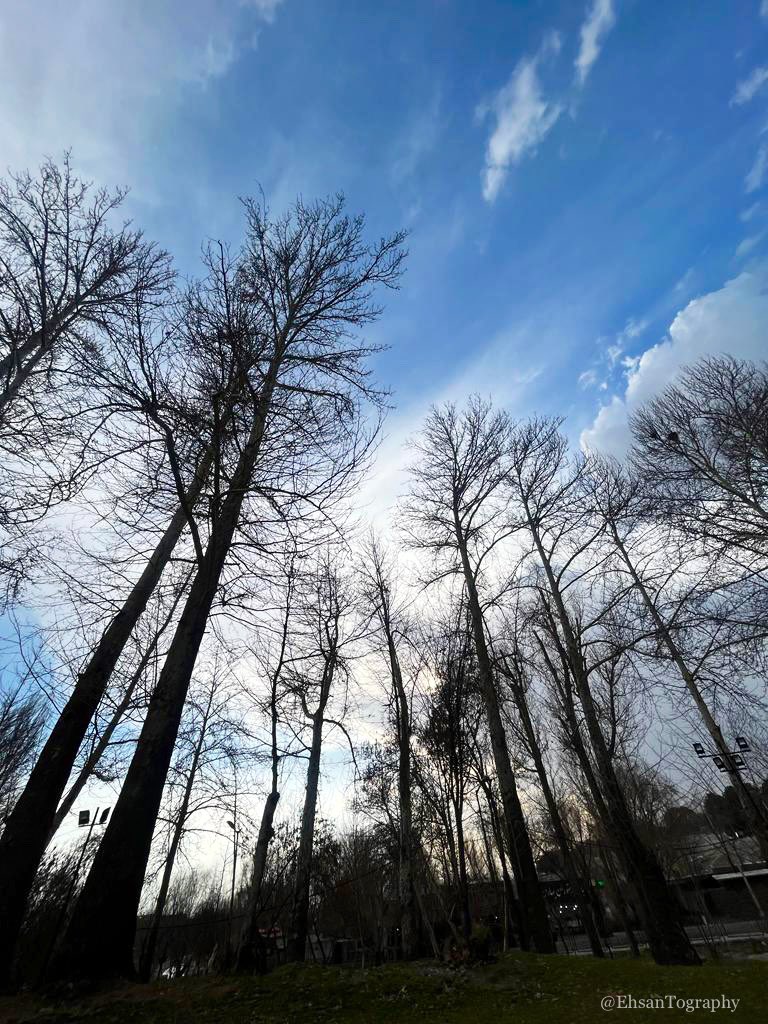 #iPhone #Photography #Spring #Nature 
#AbstractArt #SkyPaint #Trees #Clouds