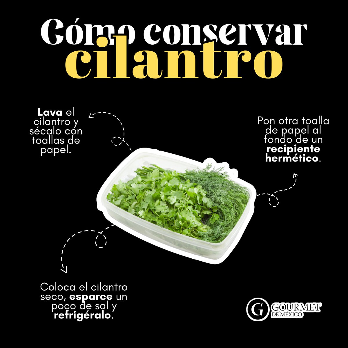 gourmetdemexico's tweet photo. Aprende cómo prolongar la frescura del cilantro con nuestros consejos prácticos. ¡Optimiza su almacenamiento y disfruta de su sabor por más tiempo! 🌿✨

#cilantro #TipsGourmet #TipsCocina #GourmetDeMéxico https://t.co/Spl56tn3nG