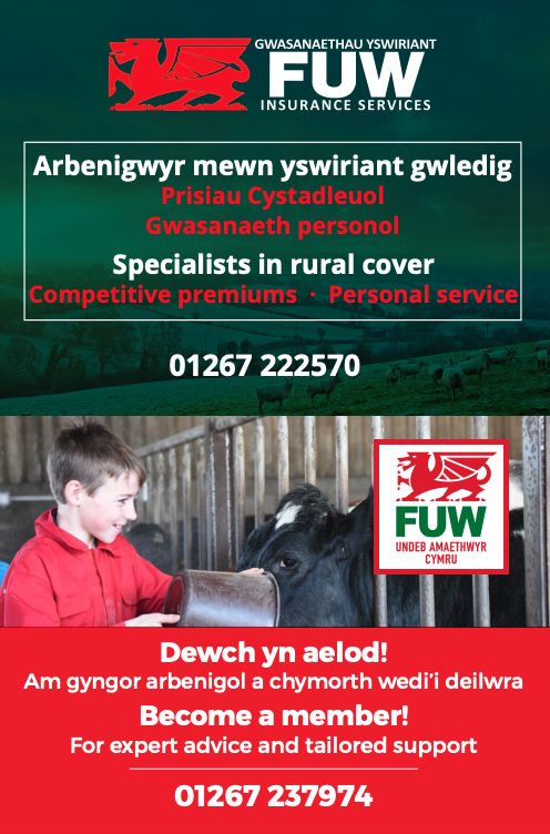 Thank you to the Farmers Union of Wales for their continued support at Carmarthen Livestock Mart. #ruralbusiness #Insurance #welshfarming @NockDeightonAg