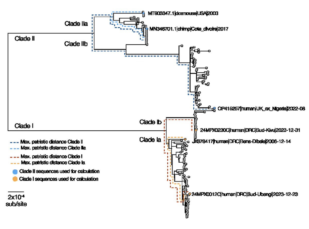 Detailed Mpox presentation on the new clade that has emerged in the DRC, which following our naming scheme was named as Clade Ib. Clade I of Mpox is more severe and seems to be a recent emergence from non-human reservoir. Detailed results at: medrxiv.org/content/10.110…