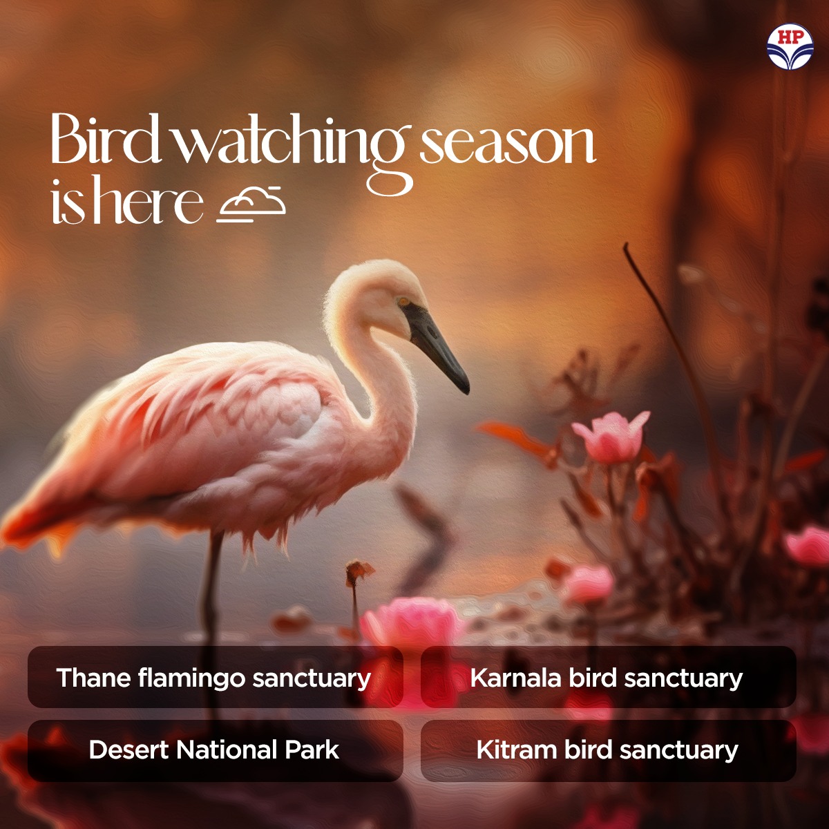April is the perfect time for bird-spotting adventures! Leave the monotony behind and explore the best bird sanctuaries in India. Embrace the call of the wild this holiday. #HPRetail #MeraHPPump #BirdWatching #Sanctuary