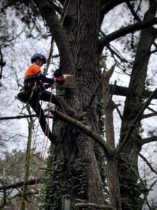 It's International Bat Appreciation Day We're hoping our bat boxes recently installed along the #RiverFal will have residents soon. Read more here: wrt.org.uk/if-you-go-down… We did this work thanks to donors to our 2022 #GreenMatchFund - can you support us again? #WRT30Years