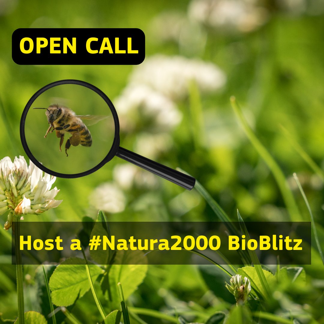 📢 Calling all nature lovers Any plans for #Natura2000Day? How about organising a #Natura2000 Bioblitz? During a BioBlitz, we look for as many species as possible in a certain area within a set period of time Learn more about it & fill in the survey 👉 europa.eu/!pcj4CJ