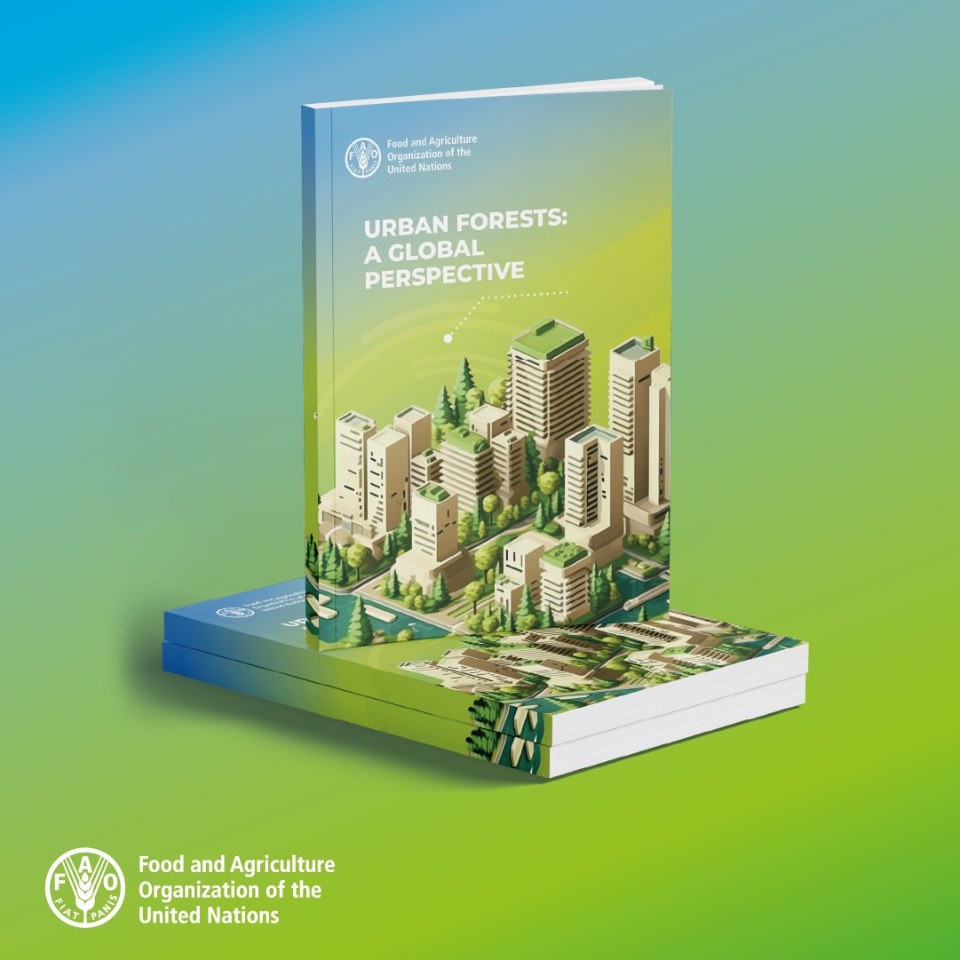 Download a free @FAO report for a region-by-region snapshot of the state of urban forestry today. Urban forests: a global perspective 👉bit.ly/3Q5HUMi #GreenCities