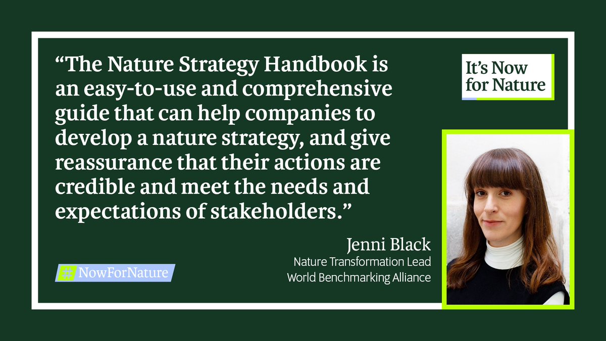 📣 🌱 Calling every business to develop a #NatureStrategy! 🌎 ‘It’s #NowforNature’ is a joint global campaign that brings together all businesses to act on nature. 👇 Jenni Black, @SDGBenchmarks 🔗 Read our Nature Strategy Handbook: nowfornature.org/read-the-handb…