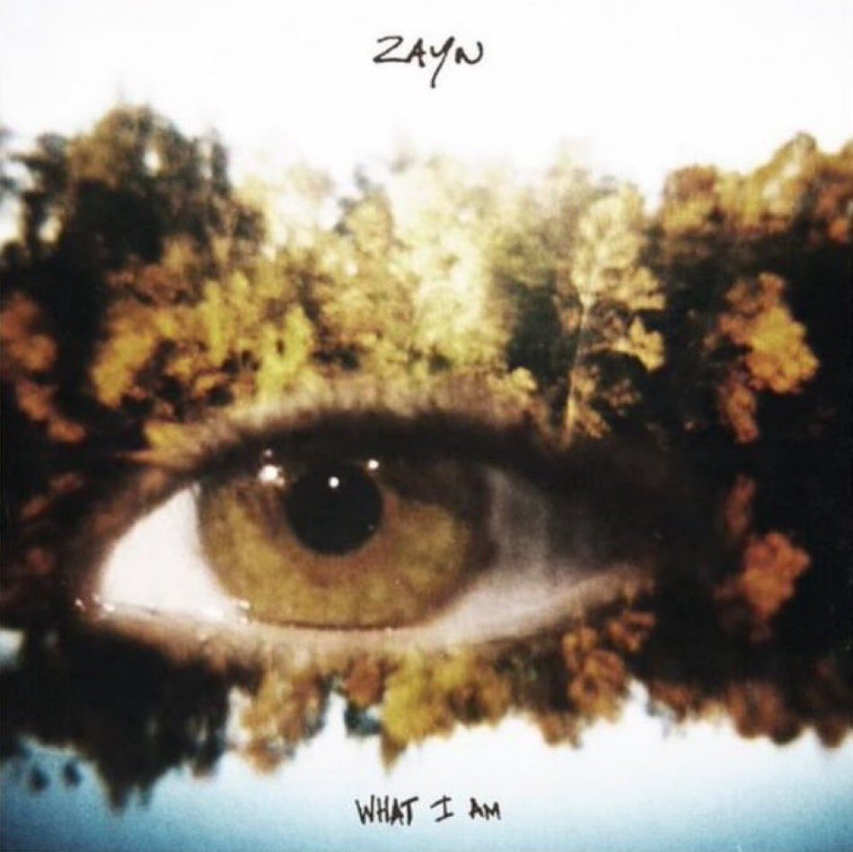 “Estoy muy emocionado, he estado trabajando en este álbum por un tiempo. También estoy emocionado porque el primer sencillo fue bien recibido, la gente reaccionó bien, incluso si encontraron extraño el estilo musical'. - Zayn sobre What I am