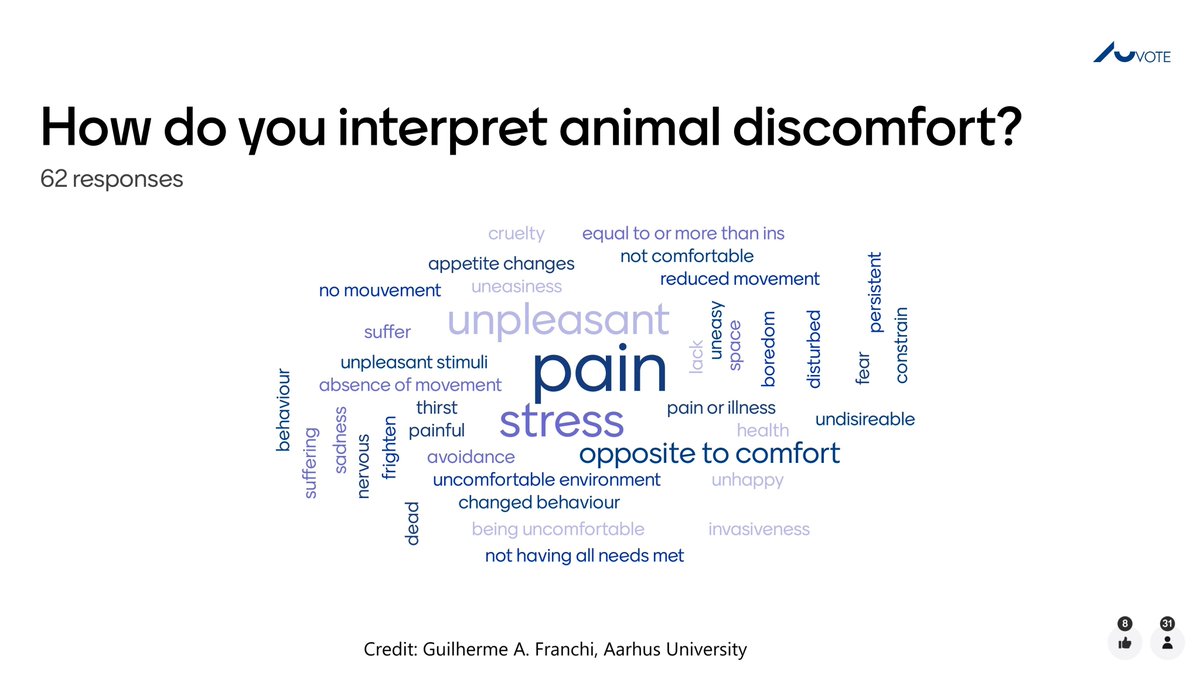 BSW_anivet's tweet photo. How do you interpret animal discomfort? A range of answers from the @PIGWEB_H2020 community. @BSW_anivet members and @irtacat and @_SLU colleagues are performing a concept analysis to shed light on this emotional state often experienced in animals kept for research and production https://t.co/EwdHC53SBn
