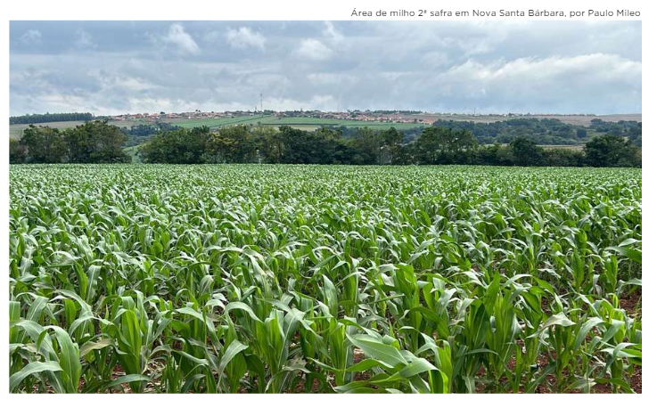Paraná, Brazil first #corn harvest reveals one of the worst ratings at 37% (DERAL)

Average is 76%

PR's #safrinha corn now rated 69%

Its suffered a near 25% drop on month

Impact of irregular rains earlier on is showing

The next weeks are critial, forecast shows little rain