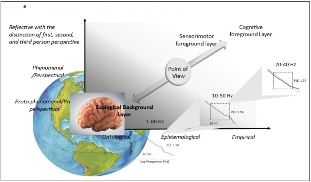 Does #ArtificialInteligence exhibit basic fundamental
#subjectivity? 

For an argumentation, check out our recent paper:
static1.squarespace.com/static/528facb…