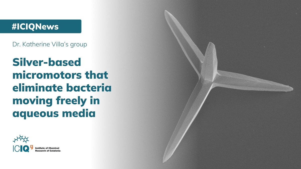 #ICIQNews

🦠Researchers from @villagroup_ (@katheVillag) have developed a simple technique to produce microscopic crystals that activate in the presence of light, releasing silver ions with antimicrobial activity.

🔗 iciq.org/silver-based-m…

@iCERCA @SOMM_alliance @_BIST