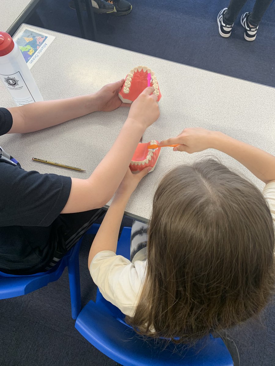 A huge thank you to Katie at the @NHS for visiting the children and delivering workshops on oral health 🦷

We learned...
🪥 Brushing techniques 
🧀 Good foods and foods we should eat less of
🦷 What is enamel and how to keep it strong

@educationgovuk @LincolnshireCC #HAF2024