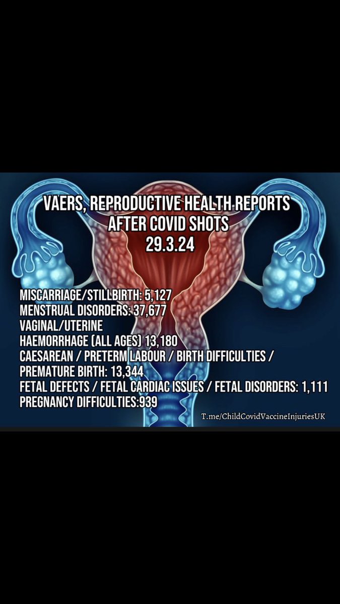 VAERS, REPRODUCTIVE HEALTH REPORTS AFTER COVID SHOTS
29.3.24

•MISCARRIAGE/ STILLBIRTH: 5,121

•MENSTRUAL DISORDERS: 37,671

•VAGINAL/UTERINE
HAEMORRHAGE (ALL AGES) 13,180

•CAESAREAN / PRETERM LABOUR / BIRTH DIFFICULTIES /
PREMATURE BIRTH: 13,344

•FETAL DEFECTS / FETAL