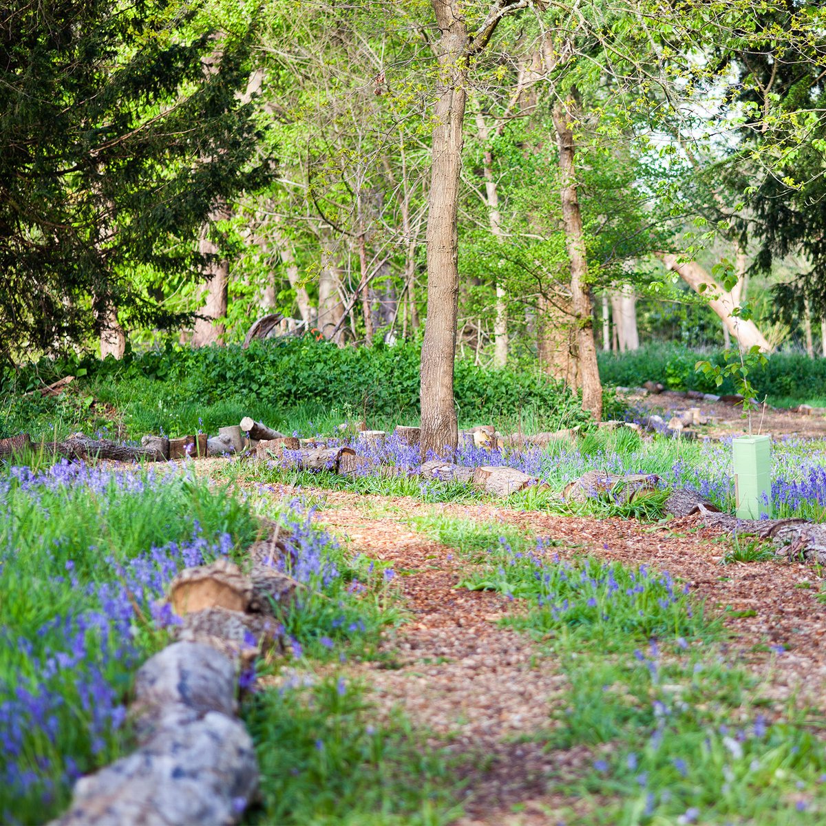 Of all the seasons, this is a favourite. Officially welcoming our community and Spring back into School today! #StMargaretsSchool #HelloSpring #BackToSchool