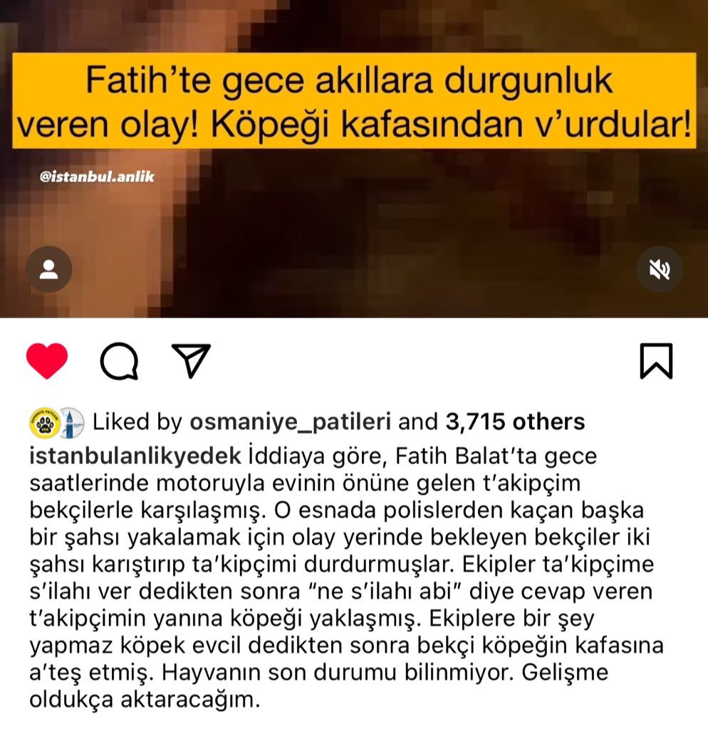 SelenSaydag's tweet photo. @HaytapOfficial Bekçiler şüpheliyi beklerken, şüpheli şahsı karıştırıp evine gelen bir vatandaşımızın, yanına gelen sahipli, çipli köpeğini vurdu bu arada. Hayvan sokak hayvanı değil. Umarım gene de şahsa yardımcı olur ve gerekli hukuki işlemlerde kendisine destek olursunuz. https://t.co/l42quQ58ZJ