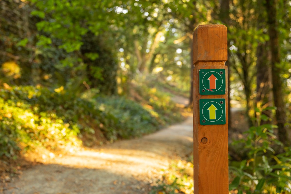 With the longer days, we love seeing more people out in Coillte's recreational spaces ☀️ Remember to Leave No Trace and #LoveThisPlace by bringing all your rubbish home with you to help keep our forest parks beautiful for all to enjoy. @LeaveNoTraceIrl #ForestsForNature