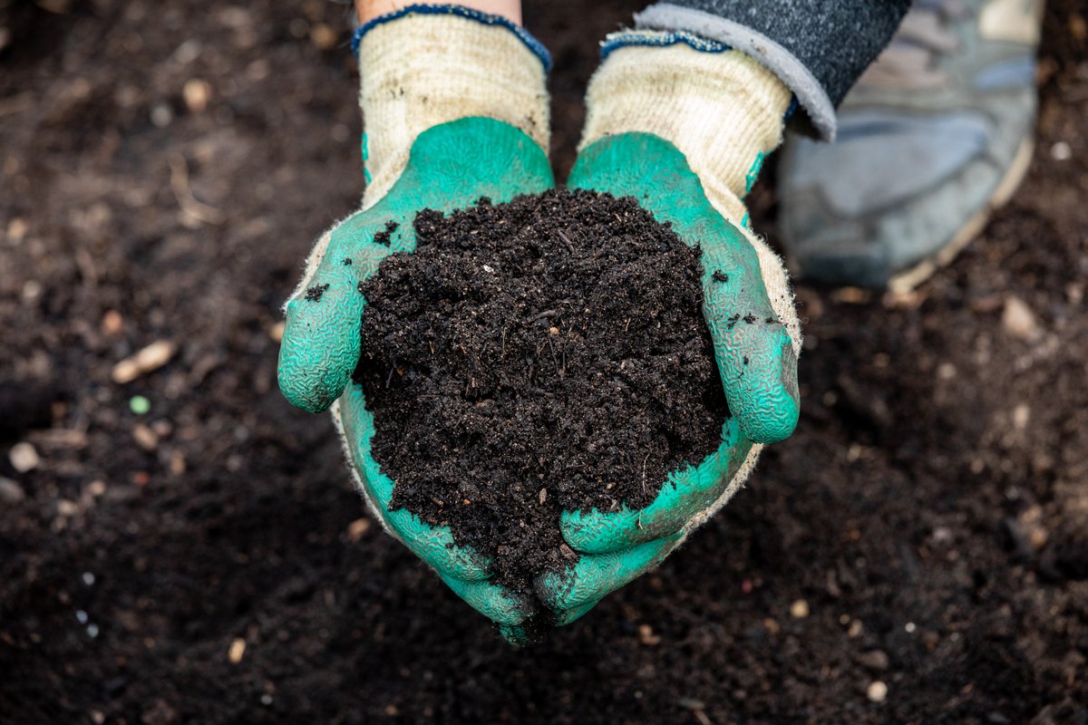 Brilliant to see there will be a second reading of the #2024peatban bill on 26 April. Have your say: demand more #peatfree compost and contact your MP today. Letter template here: gardenorganic.org.uk/news/peat-ban #peatfreeapril