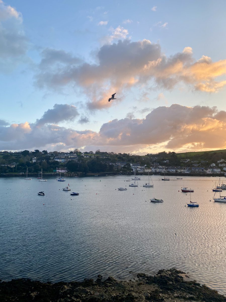 Woken up to some exceptional views in Falmouth this morning, but rather early by some noisy (seagull) neighbours. Looking forward to the @GW4Alliance roadshow at @UniofExeterESI @UniExeCornwall later this morning.