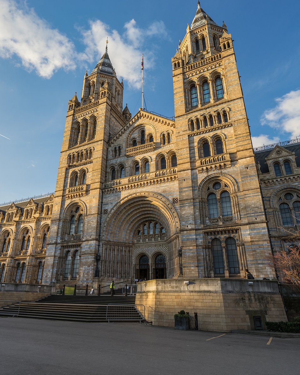 Have you ever wanted to be involved with overseeing the strategy and governance of a world-class museum and scientific institution? 👀 Here's an opportunity to become a Trustee and join the Natural History Museum Board! 😮 Find out more and apply 👉 brnw.ch/21wITpo