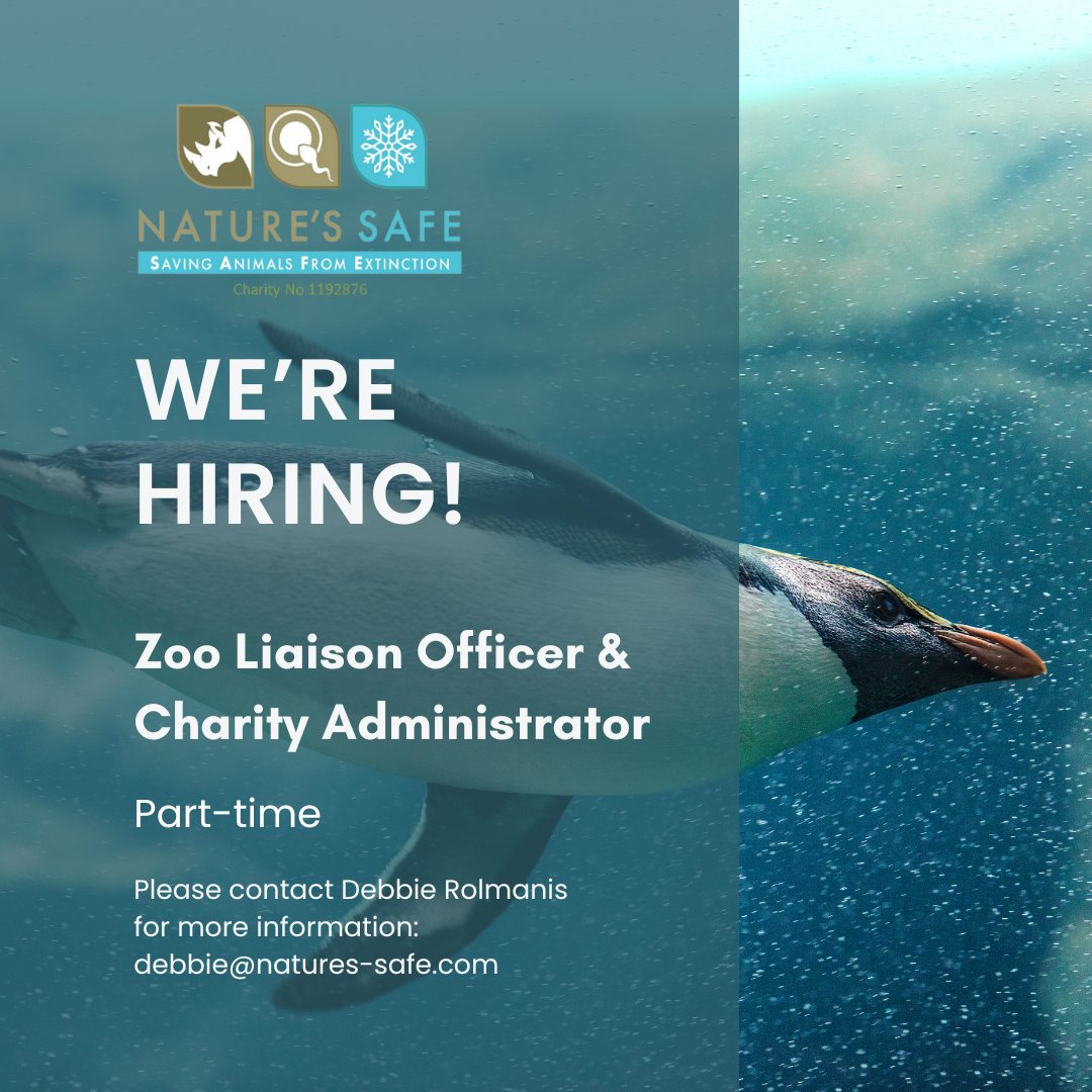 We’re #hiring! Would you love to be a key part of an exceptional charity on a mission to Save Animals from Extinction? A rare opportunity has arisen to join our small team as Zoo Liaison Officer and Charity Administrator: linkedin.com/jobs/view/3903…
