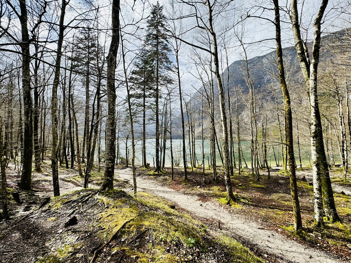 cado's tweet photo. emerald desires- #bohinj #triglav #slovenia
.
#spring Março 2024
.
#lake #forest #montain #alpesjulianos #vacation #ferias #heritage #patrimonio #architecture #arquitectura #arquitetura #street #landscape #nature #natureza #city #visitslovenia #visitbled #europe #europetrip https://t.co/8SaZ86TVOJ