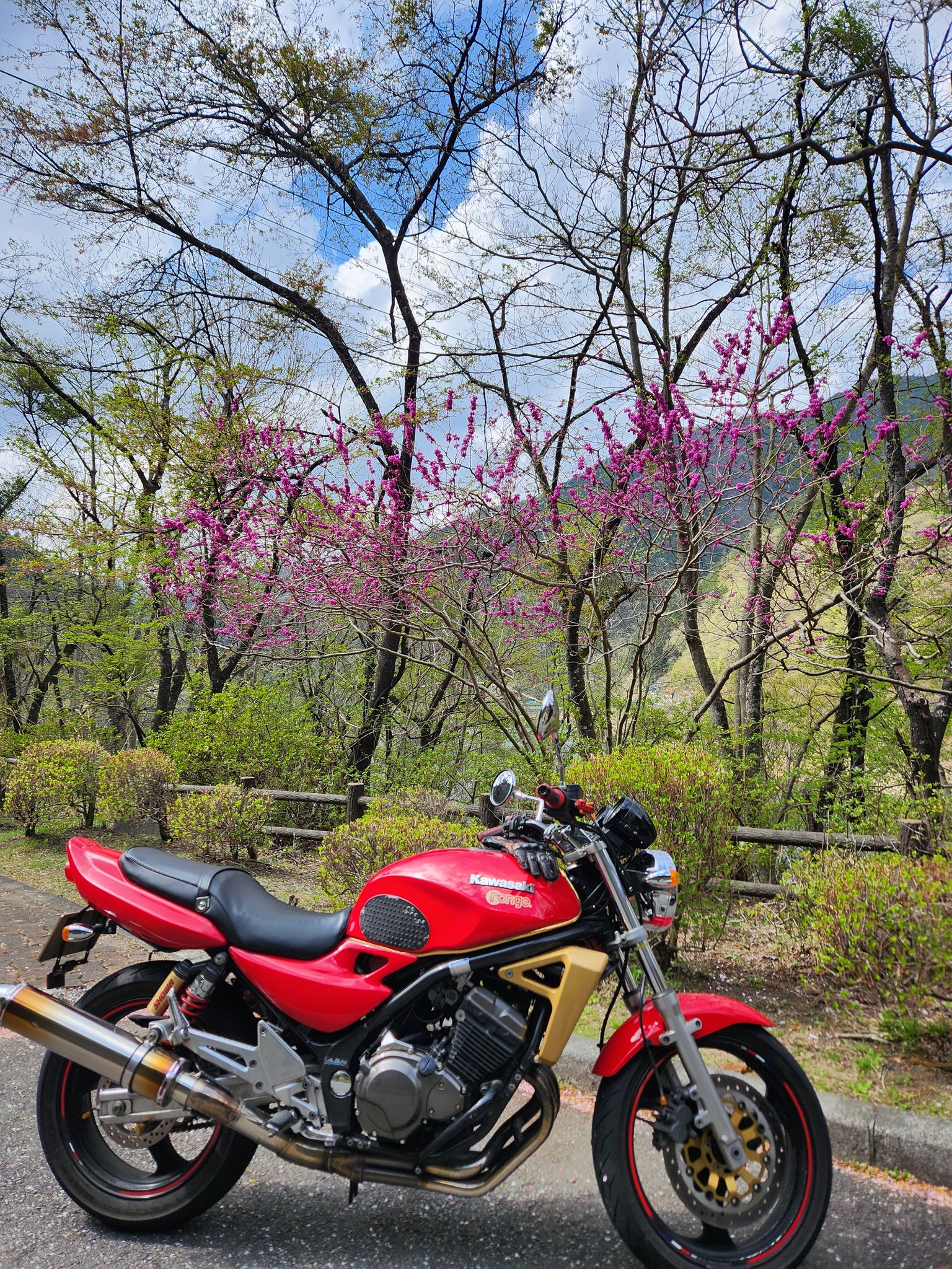 【あおっぴ】 カワサキフォト2025 @kawasaki_motors_japan #青の洞門#耶馬溪