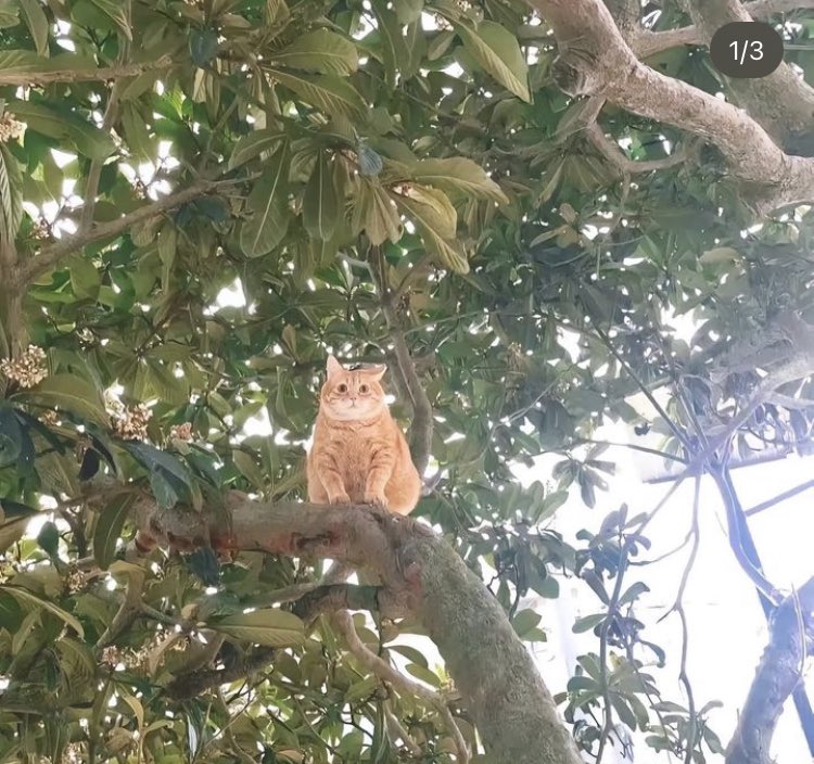 No lucifur baja de ahi <a href="/coffeendcigrtts/">𝐉𝐎𝐄𝐘</a>