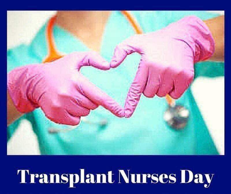 It is #TransplantNursesDay. A day to raise awareness of the unique contributions transplant nurses make in the lives of the people with whom they work, especially their patients. We would like to express our gratitude to all the nurses that work in the transplant sector...1/3