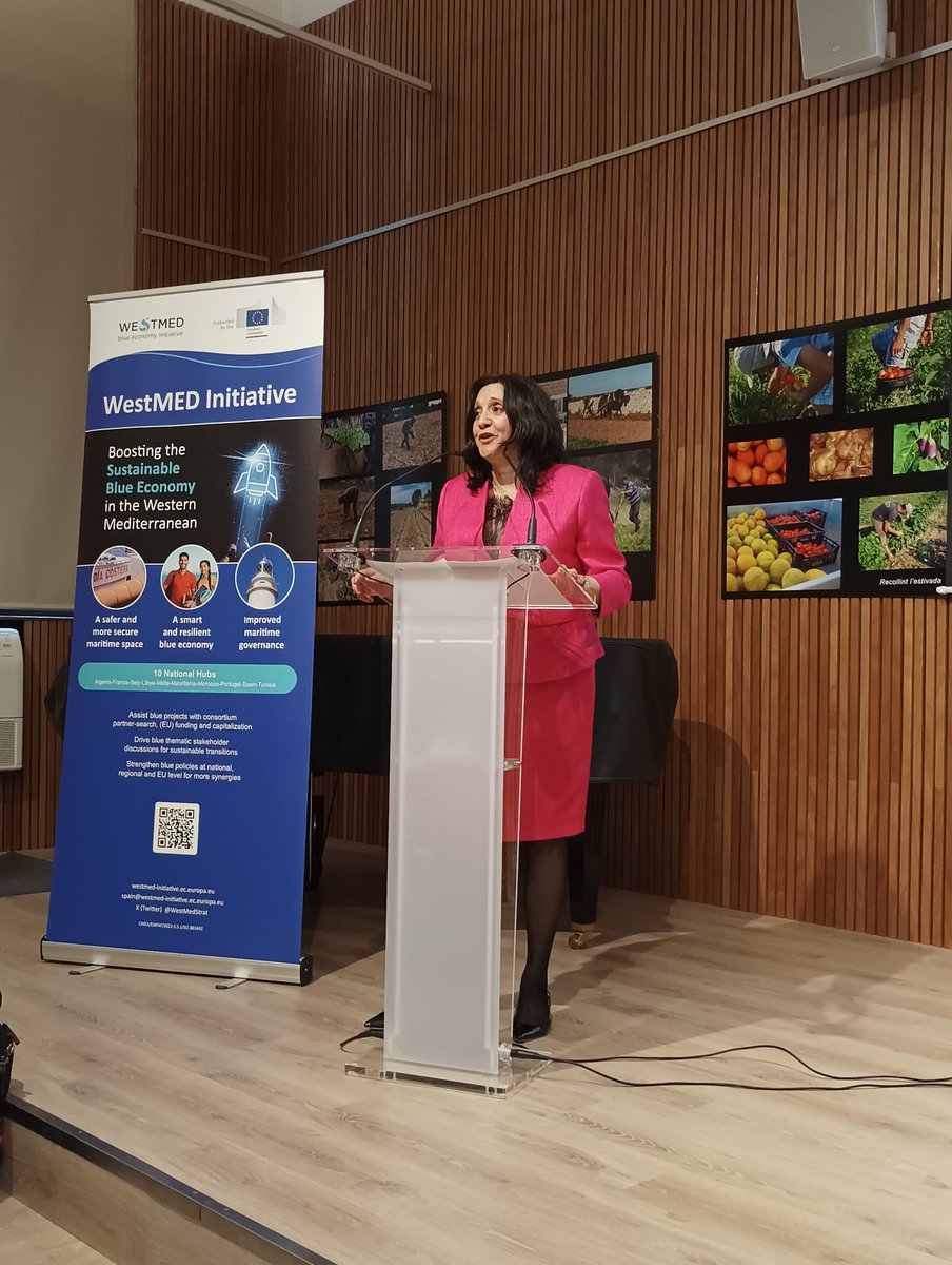 📣Sra Iolanda Piedra - President of the Balearic Maritime Cluster thanking #WestMED and giving Menorca the opportunity to share their vast knowledge on maritime decarbonisation strategies

"España quiere y tiene que ser un referente europeo y global en la descarbonizacion marina"