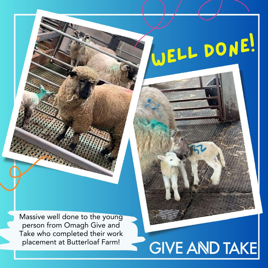 Well done to the young person on Omagh Give and Take who completed a work placement at Butterloaf Farm! What a fantastic opportunity to learn about the world of work and as we enter Spring, they have the lovely experience of looking after these lambs 🐑  

#YouthStartPartnership