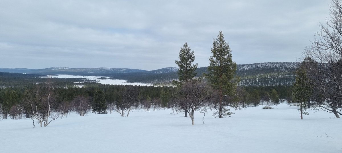 Incredible freedom of movement now with frozen snow!