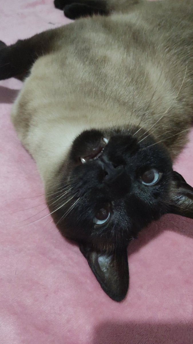 Εsperanza tweet media