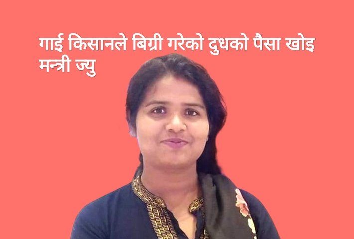 ओ हेल्लो मन्त्री ज्यु गाई किसानको मंसिर महिना देखिको दुधको पैसा खोइ??????