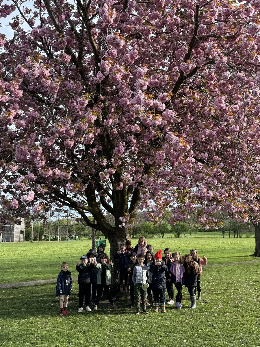 Good morning! We’ve all had a good night, ready for our final day😃