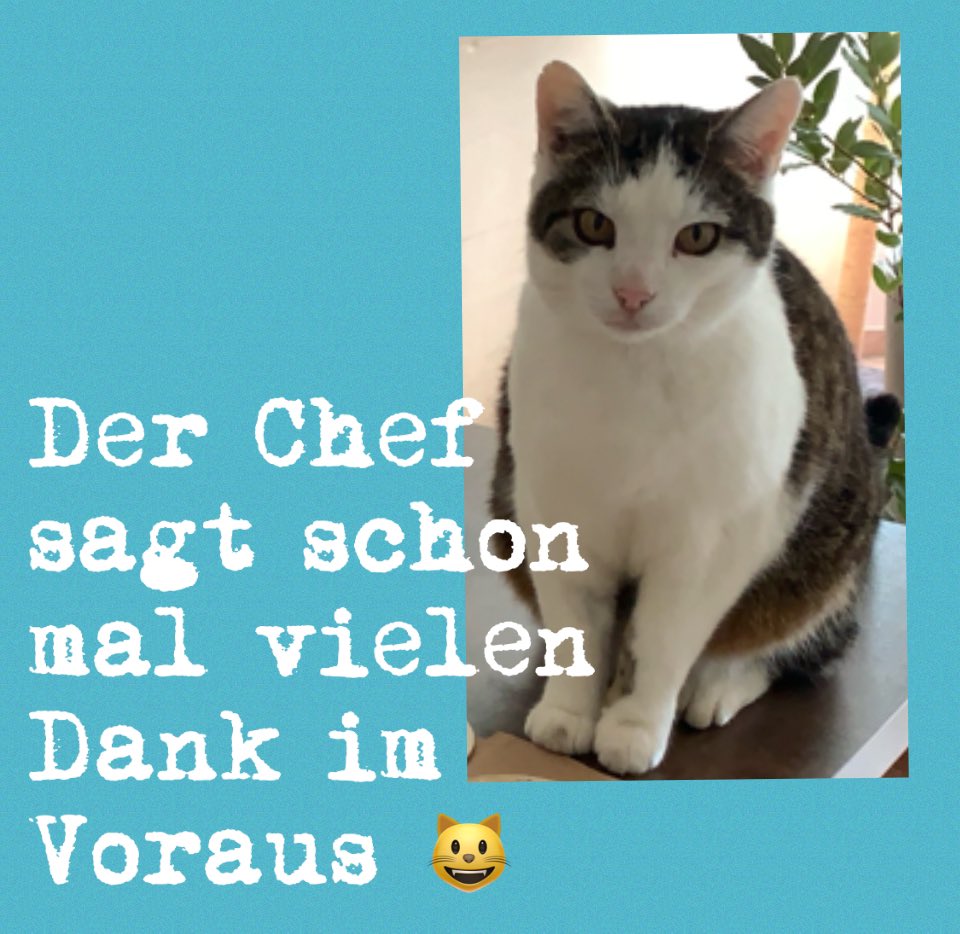 Ein paar meiner Anhänger sind schon weg. Danke euch😘. Darüber freu ich mich sehr. Vielleicht geht ja noch was u. wir können noch etwas Snackgeld für Pico zusammen bekommen. Er ist nämlich wie immer untersnackt🤪🤭

Durchmesser ist 10 cm

Mit 18 € je Anhänger seid ihr dabei.