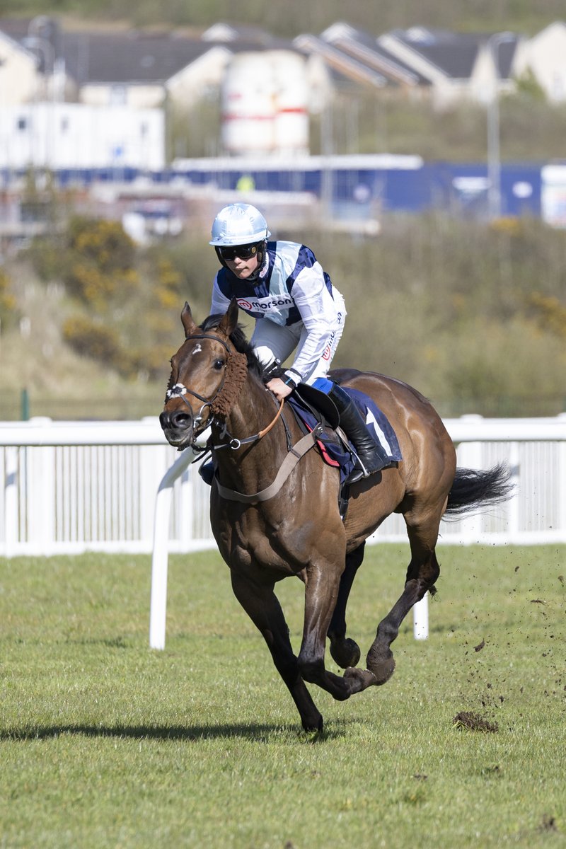 RACE 4 - bettingsites.ltd.uk New Betting Sites Novices' Hurdle (Novices' Championship Hdl Qualifier) (GBB) 🥇 Panjari 11/4 Jockey: Freddie Gingell Trainer: @PFNicholls Owners: Neil Smith & Alfie Smith