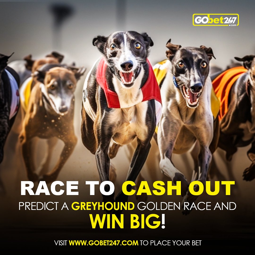 Visit gobet247.com to play the virtual greyhound race and cash out instantly, as many times as you want.

#Gobet247 #GoWin #Virtual #VirtualGame