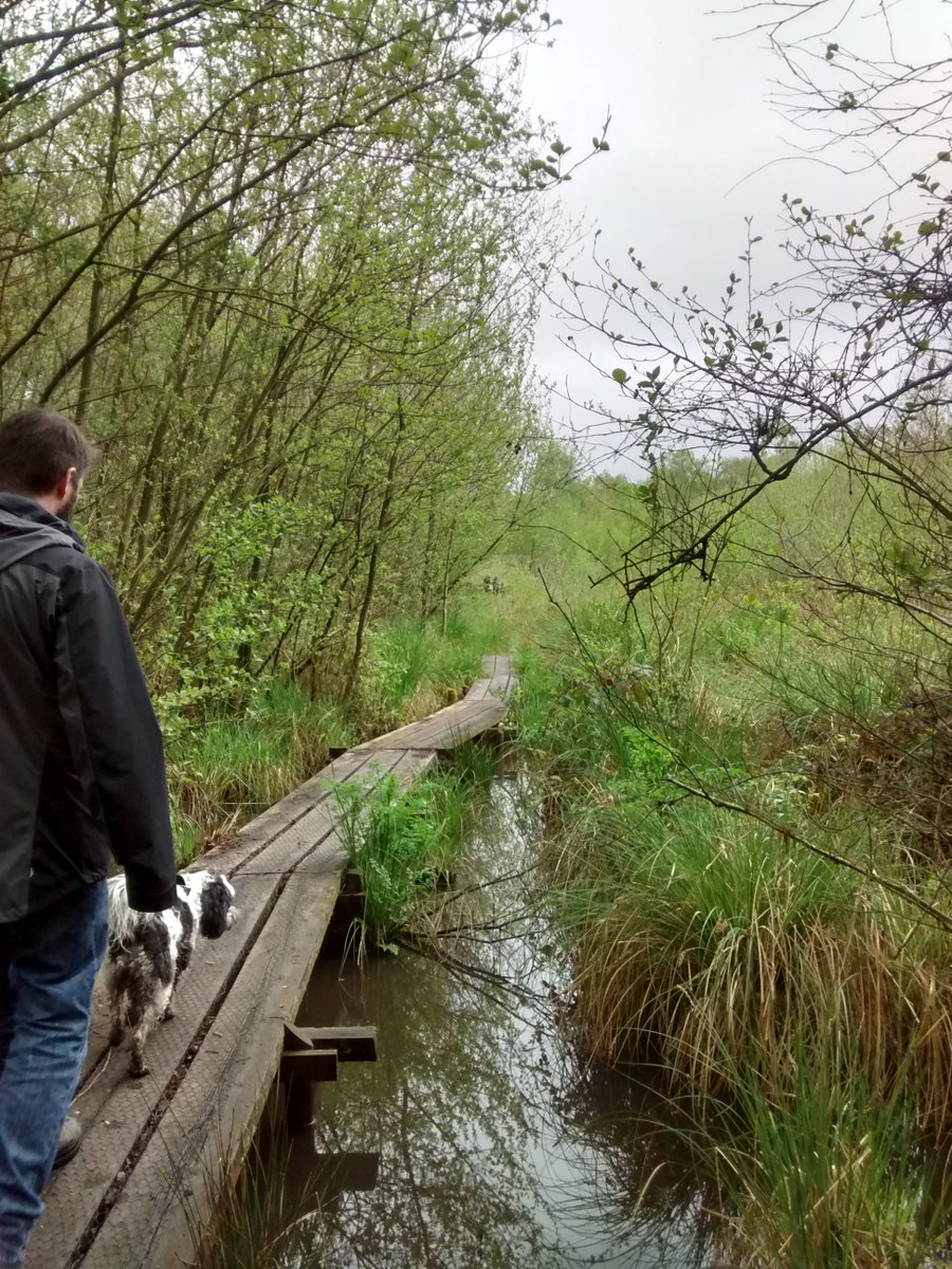 York Archaeology tweet media