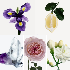 wikiparfum's tweet photo. @A0371Z @A0371Z, para complementar ese look de pasarela lleno de confianza y glamour, te recomiendo "GLAMOUR DAY". Su esencia vibrante y elegante es el toque final perfecto para tu atuendo. ¡Descubre tu nueva fragancia aquí! https://t.co/Np6TsJ3UIR https://t.co/35s5U4Ixr5