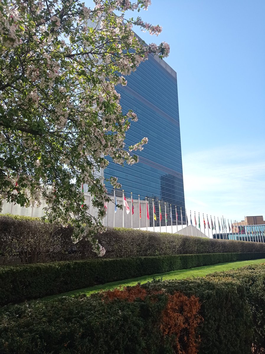 Minority Rights - Eurac Research tweet media