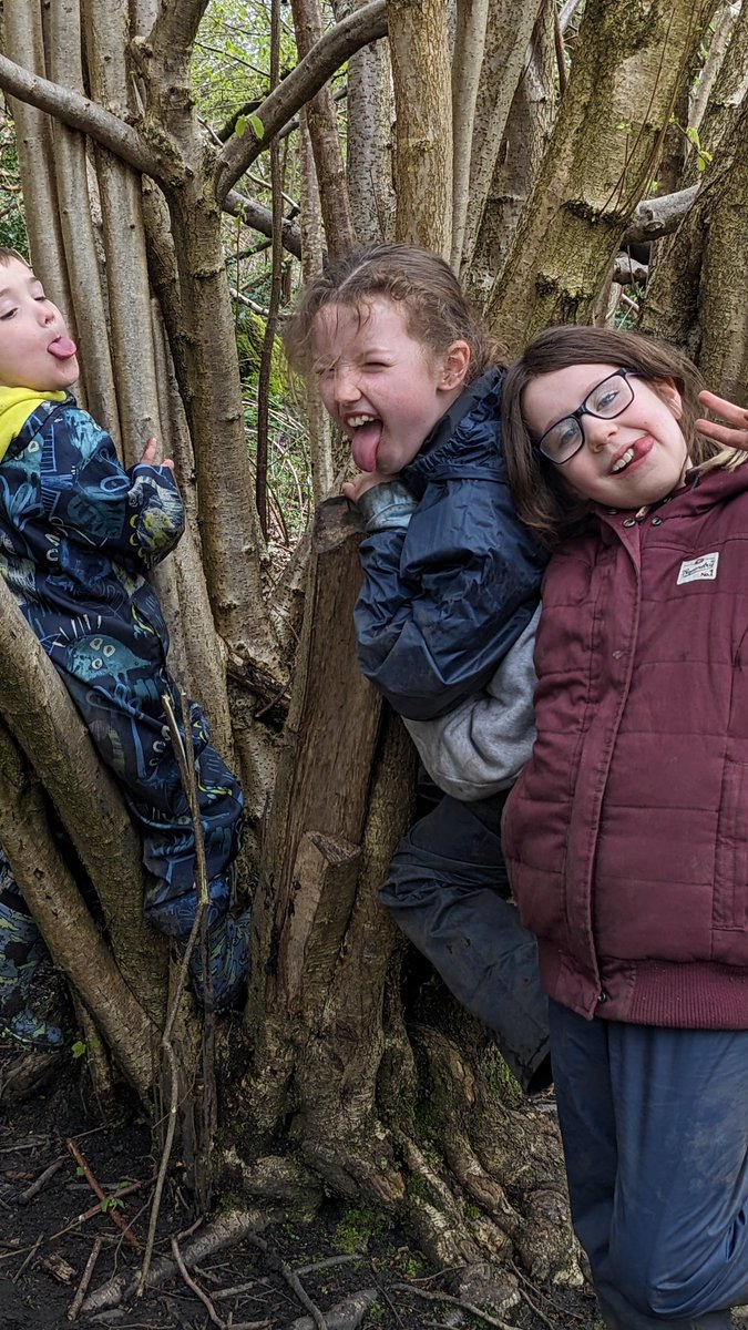 LittleBatsLearningCIC tweet media