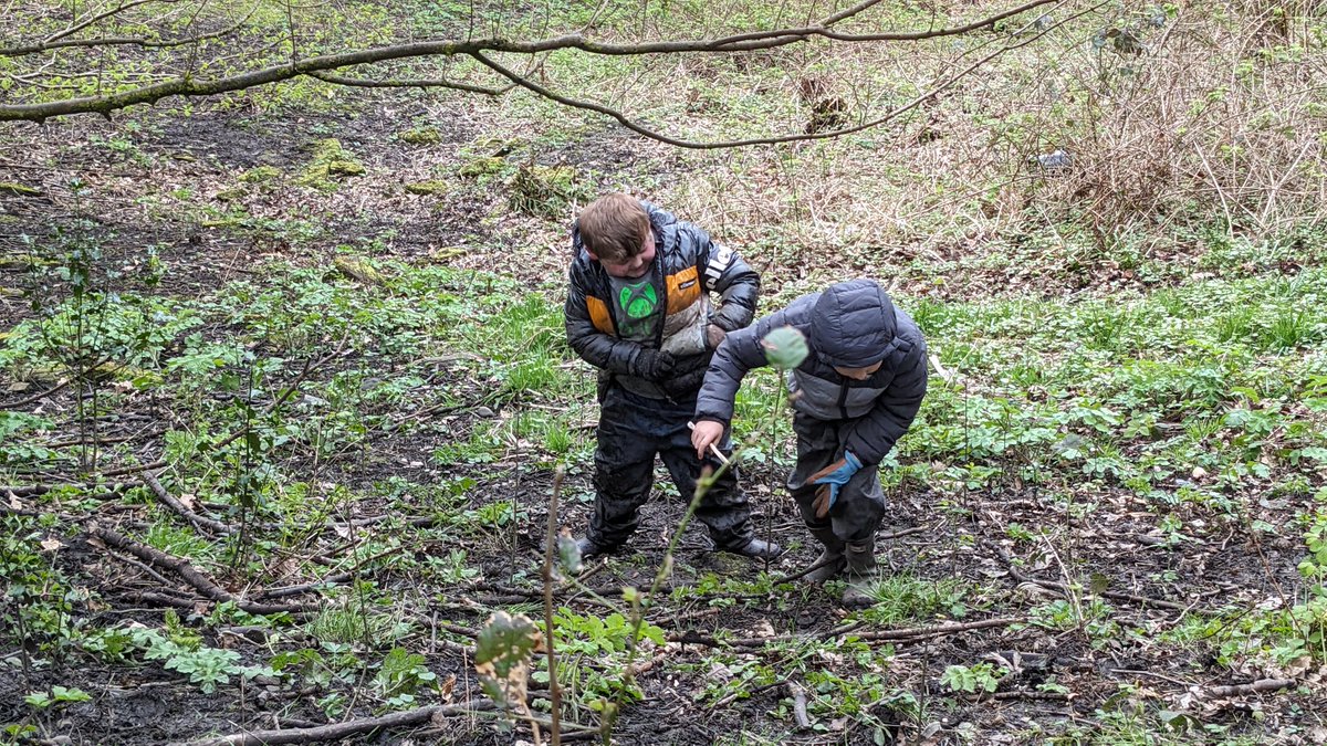 LittleBatsLearningCIC tweet media