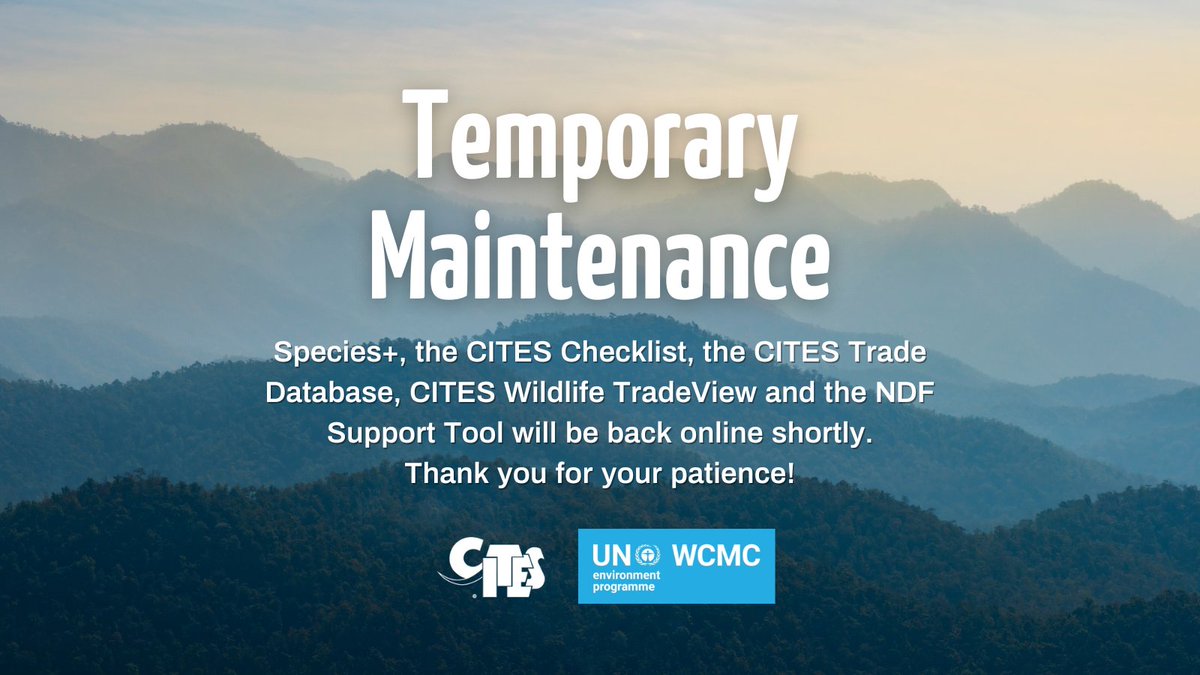 CITES #databases & tools are undergoing temporary maintenance today and will be back online soon ⏩🔧