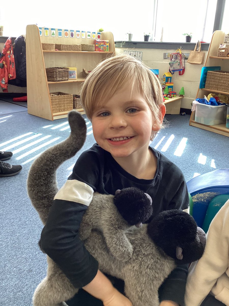 Butterfly Class tweet media