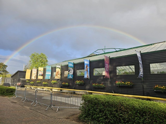 Rainbows remind us that even after the darkest clouds and the fiercest winds, there is still light at the end of the tunnel 🌈