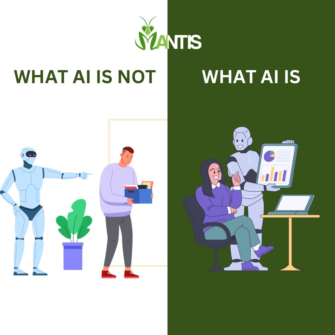 Mantis India tweet media