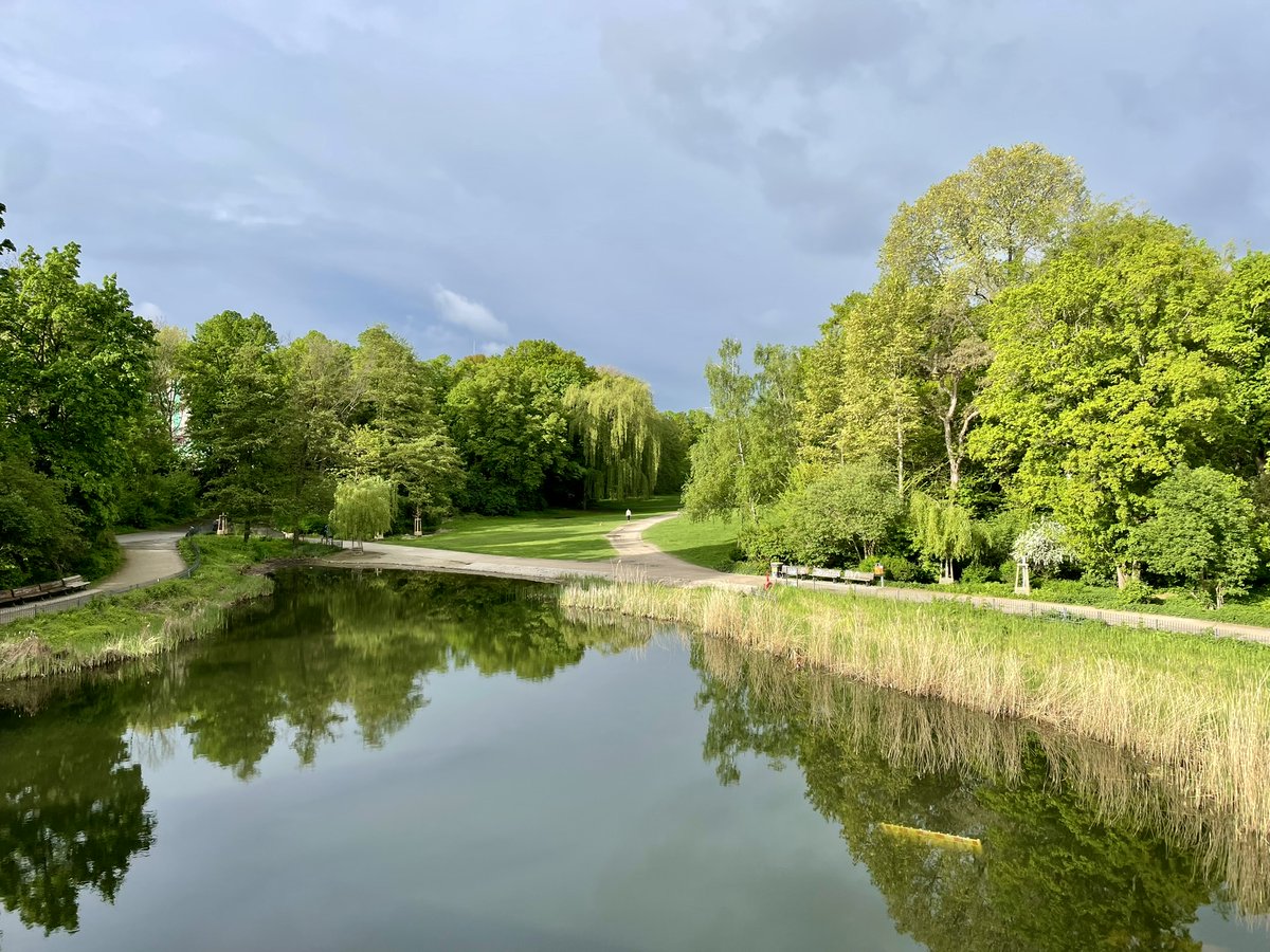 Blick in den Rudolph-Wilde-Park in Berlin-Schöneberg am heutigen Morgen 🌳