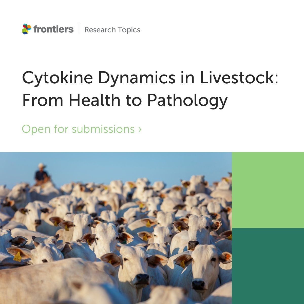 🎉 New Research Topic open for submissions! 'The objective of this Research Topic is to compile original research and review articles that aim to elucidate the roles of cytokines in the health and disease conditions of livestock.' Learn more here: frontiersin.org/research-topic…