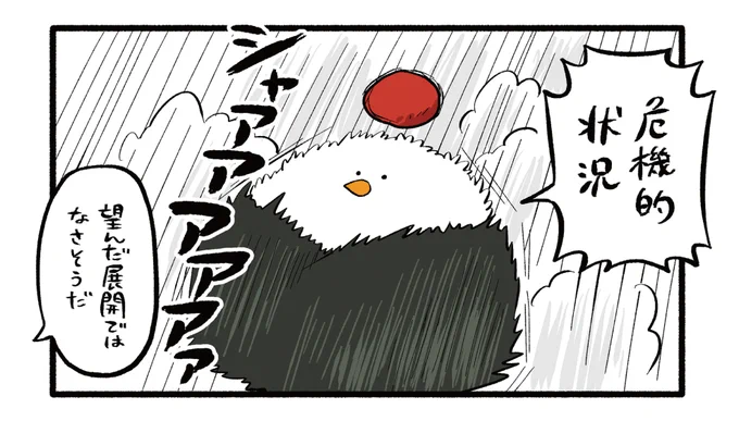 こんな時、あなたならどうしますか...!?💥
#ねこもどき #漫画 